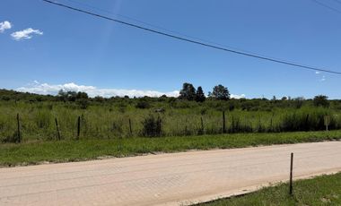 Lotes comerciales frente a ruta, a 1000 metros del río
