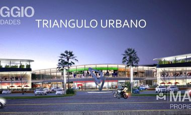 LOCAL COMERCIAL VENTA CANNING TRIANGULO URBANO