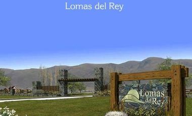 Terreno en  BARRIO CERRADO LOMAS DEL REY