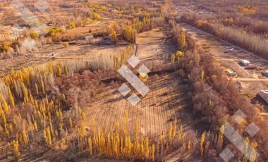 En Venta, 7 Hectáreas y cabaña de 1 dormitorio, zona de chacras Plottier, Neuquén.