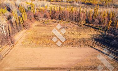 En Venta, 7 Hectáreas y cabaña de 1 dormitorio, zona de chacras Plottier, Neuquén.