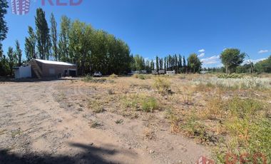 Alquiler de Predio con Galpón