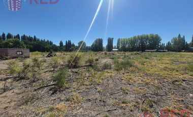 Alquiler de Predio con Galpón