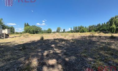 Alquiler de Predio con Galpón