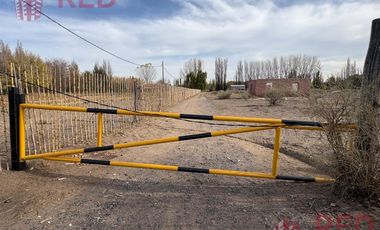 Alquiler de Predio con Galpón