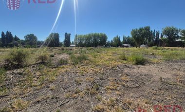 Alquiler de Predio con Galpón