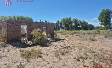 Alquiler de Predio con Galpón