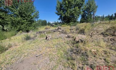 Alquiler de Predio con Galpón