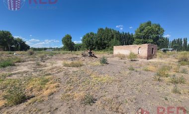 Alquiler de Predio con Galpón