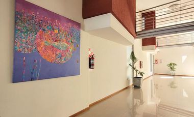 Departamento - Gualeguaychu