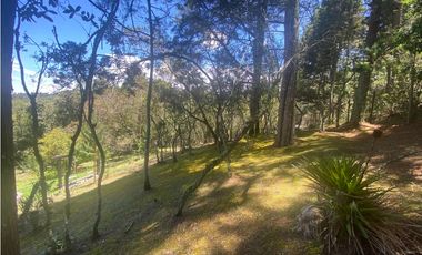 CASA FINCA INDEPENDIENTE GUARNE PIEDRAS BLANCAS SMG