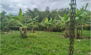 VENTA CASA CAMPESTRE QUIMBAYA ALCALA  VEREDA SAN FELIPE