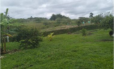 VENTA CASA CAMPESTRE QUIMBAYA ALCALA  VEREDA SAN FELIPE