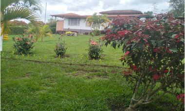 VENTA CASA CAMPESTRE QUIMBAYA ALCALA  VEREDA SAN FELIPE