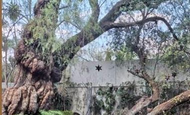 Casa en  Renta zona Norte Las Quintas