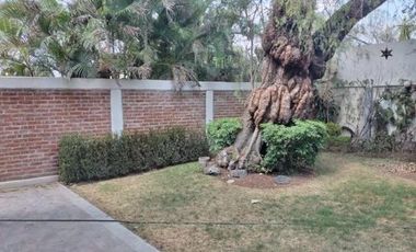 Casa en  Renta zona Norte Las Quintas