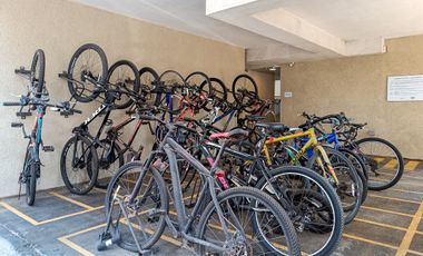 Garden La Cisterna [3174-1]