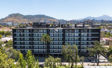 Alférez Real (1 Bod) [3203-4]