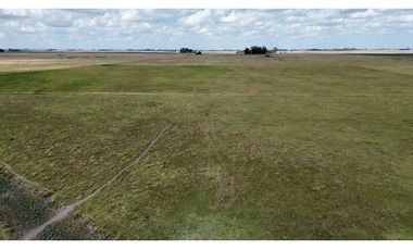 Campo de 40 Has en Ranchos, Buenos Aires