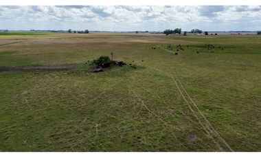 Campo de 40 Has en Ranchos, Buenos Aires