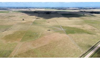 Campo de 40 Has en Ranchos, Buenos Aires