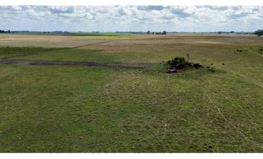 Campo de 40 Has en Ranchos, Buenos Aires