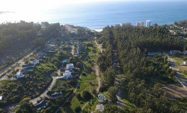 BOSQUES DE QUILEN, COSTA QUILEN