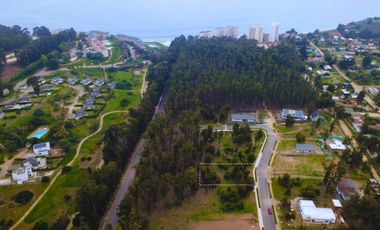 BOSQUES DE QUILEN, COSTA QUILEN