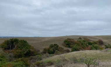 Parcela en venta  en CHANCO