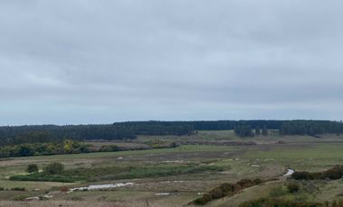 Parcela en venta  en CHANCO