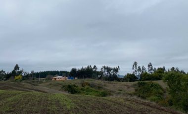 Parcela en venta  en CHANCO