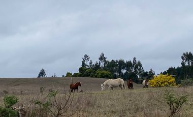 Parcela en venta  en CHANCO