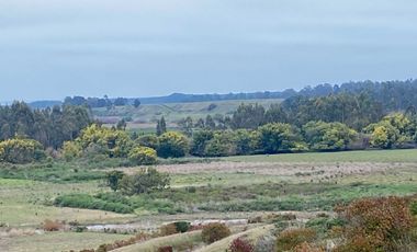 Parcela en venta  en CHANCO