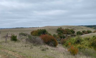 Parcela en venta  en CHANCO