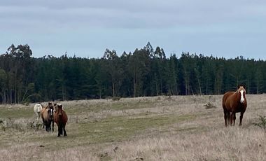 Parcela en venta  en CHANCO