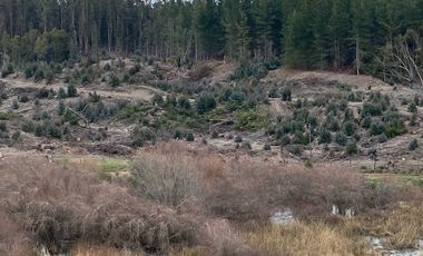 Parcela en venta  en CHANCO