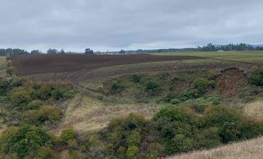 Parcela en venta  en CHANCO