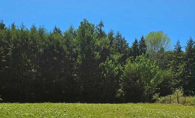 Casa en venta en SANTA JUANA