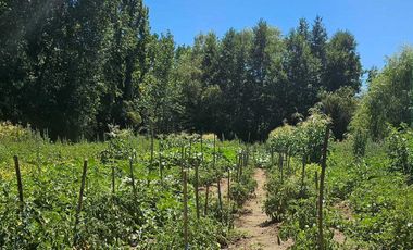 Casa en venta en SANTA JUANA