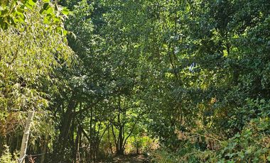 Casa en venta en SANTA JUANA