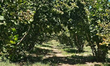 Casa en venta en SANTA JUANA