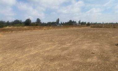 Parcela en Venta en Sector Alto Las Cruces, Talca