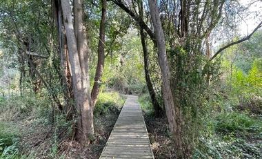 Parcela en Venta en Sector Alto Las Cruces, Talca