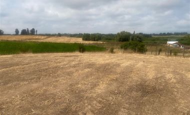 Parcela en Venta en Sector Alto Las Cruces, Talca