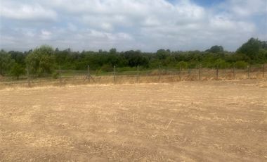 Parcela en Venta en Sector Alto Las Cruces, Talca