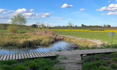 Parcela en Venta en Sector Alto Las Cruces, Talca