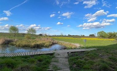 Parcela en Venta en Sector Alto Las Cruces, Talca