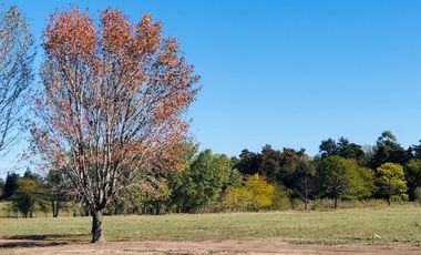 LOTES FINANCIADOS!!! Del Viso - Pilar