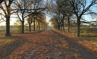 LOTES FINANCIADOS!!! Del Viso - Pilar