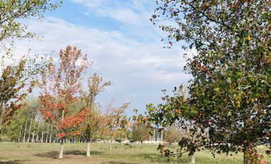 LOTES FINANCIADOS!!! Del Viso - Pilar